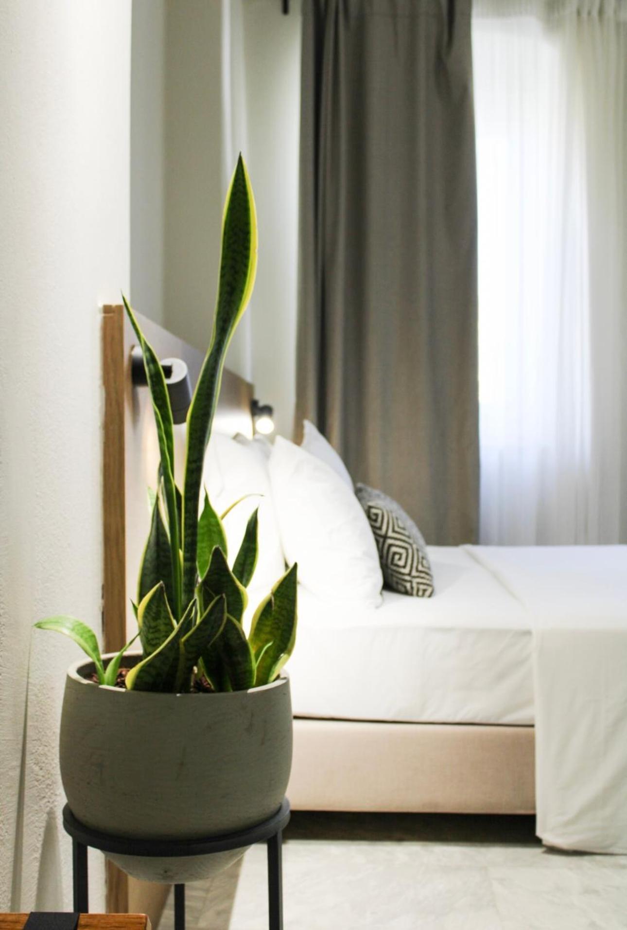 Oiko Mini Suites Ermoupoli Buitenkant foto